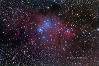 NGC_2264.jpg